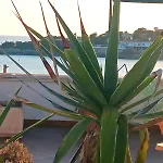 Montedarena Gold