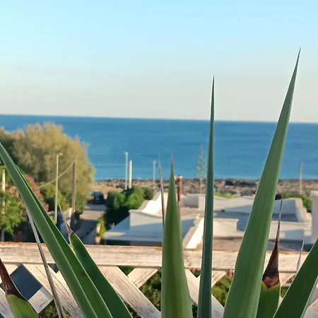 Apartment Montedarena Gold