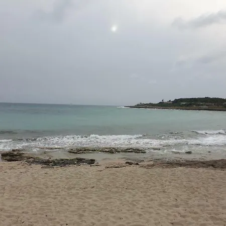 Montedarena Gold